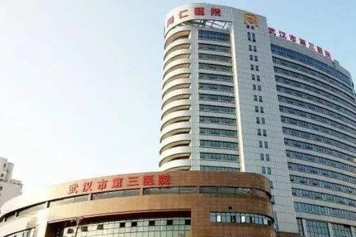 武汉市第三医院未来科技城院区在哪[地址 建设进展](图2)