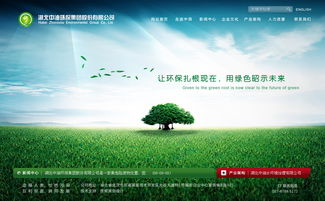 湖北武汉网页设计师王磊 中油环保集团企业公司酷站欣赏
