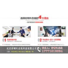 武汉网站设计