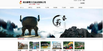 武汉企业网站设计建设*公司