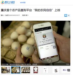 武汉互联网农产品公司网站开发中的设计与插画应用